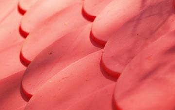 Bladbean plastic roof costs