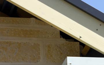 soffit repair Bladbean