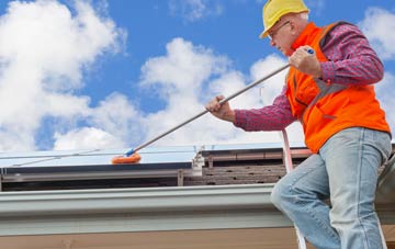 Bladbean soft wash roof cleaning