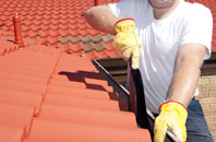 Bladbean roof cleaners