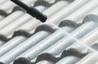 rated Bladbean roof cleaning companies